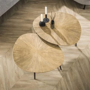 Salontafelset van 2 Goud Ray | Organische Salontafels